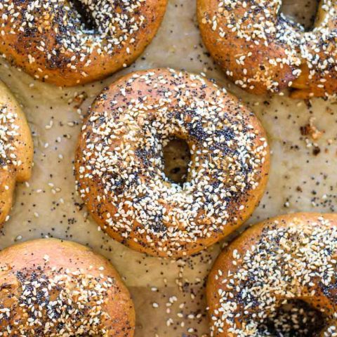 Homemade New York Style Bagels • The Curious Chickpea