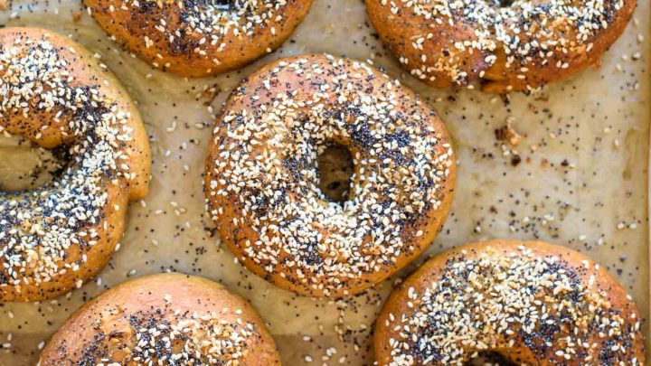 Homemade New York Style Bagels The Curious Chickpea