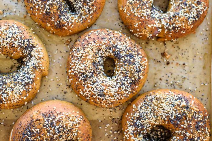 Homemade New York Style Bagels • The Curious Chickpea