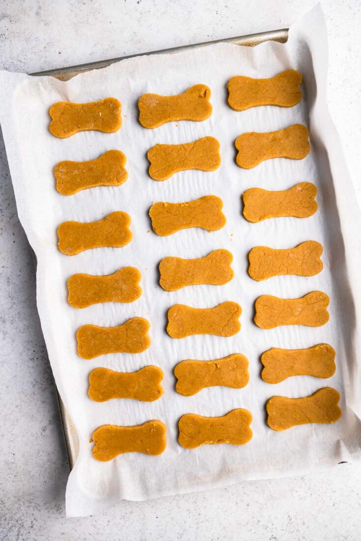 Peanut Butter Pumpkin Dog Treats • The Curious Chickpea