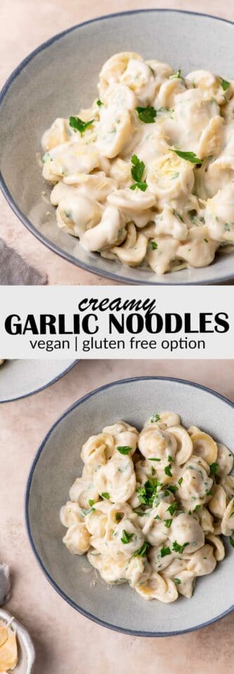 Vegan Creamy Garlic Noodles • The Curious Chickpea